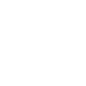 identity logo picto 01 white